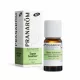 PRANAROM - Balzsamfenyő - Téli Wellness Illóolaj 10ml