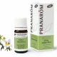 PRANAROM - Balzsamos Szuhar - Hegek és Sebek Elleni Illóolaj 5ml